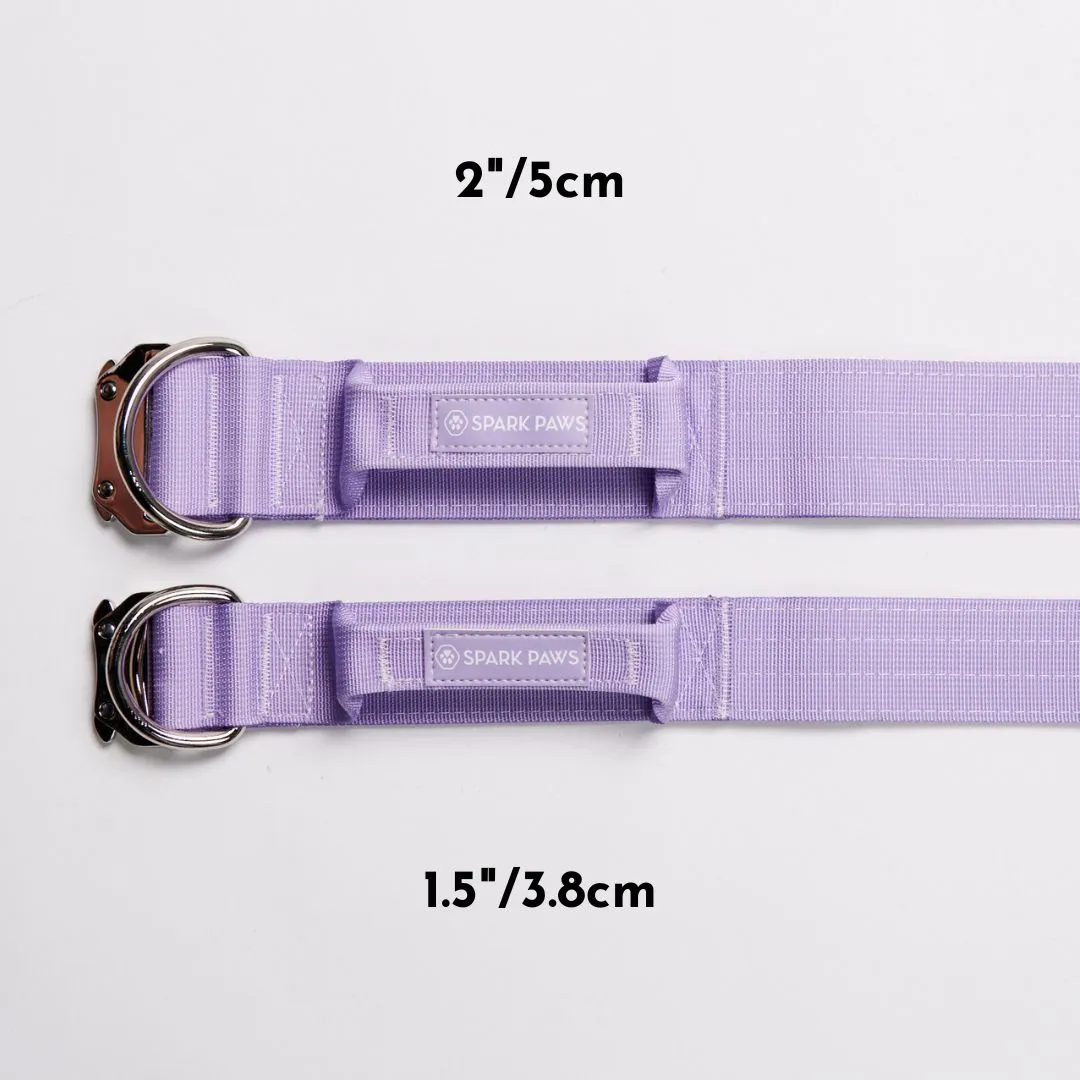 Comfort Control Collar - Lilac