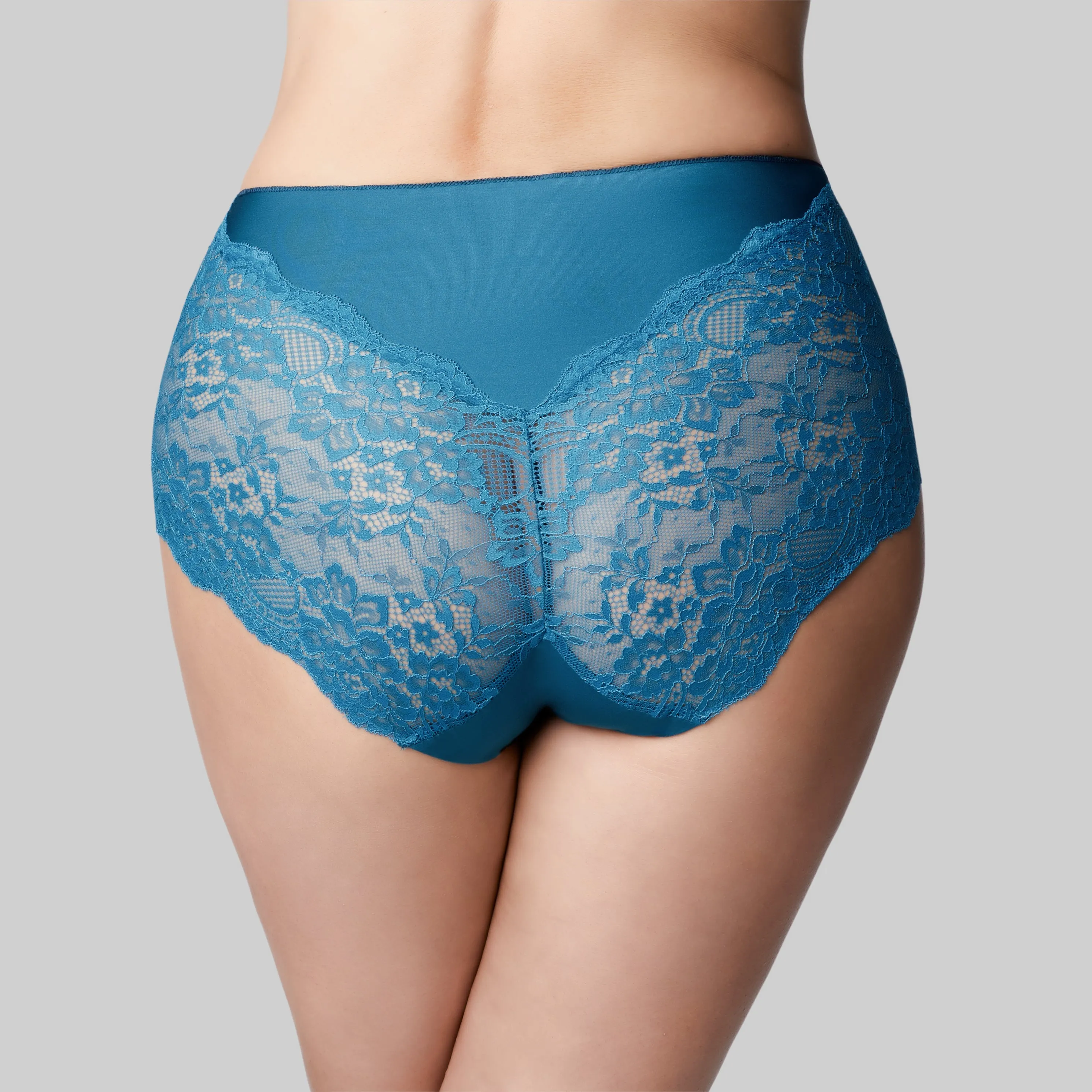 Precision Lace Full Brief